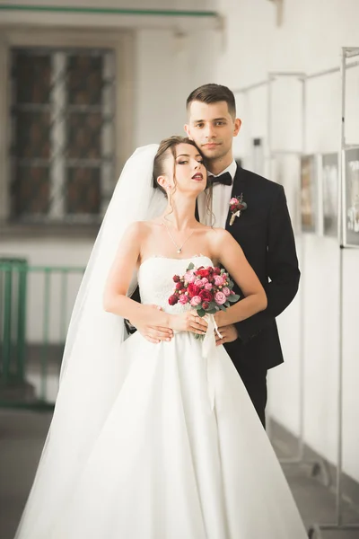 Coppia perfetta sposa, sposo posa e baci nel loro giorno del matrimonio — Foto Stock