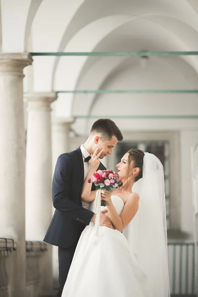 Coppia perfetta sposa, sposo posa e baci nel loro giorno del matrimonio — Foto Stock