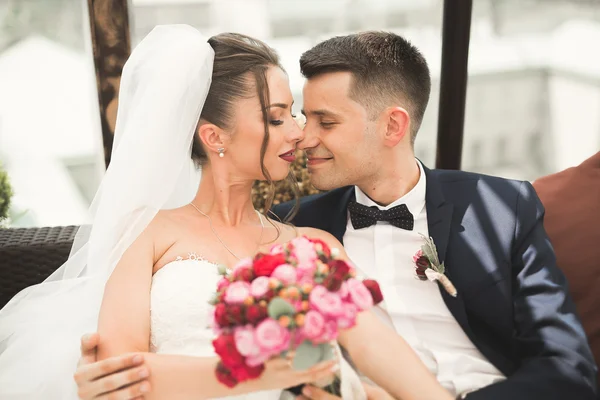 Coppia perfetta sposa, sposo posa e baci nel loro giorno del matrimonio — Foto Stock