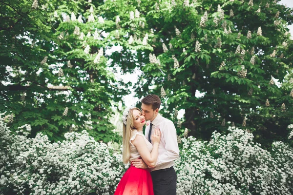 Stilvolle schöne glückliche Hochzeitspaar küsst und umarmt im botanischen Garten — Stockfoto