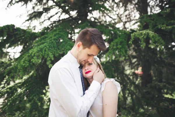 Elegante bella coppia di nozze felice baciare e abbracciare nel giardino botanico — Foto Stock