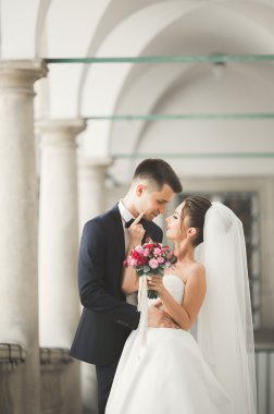 Mükemmel bir çift gelin ve damat düğün günlerinde poz verip öpüşürler.