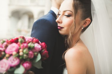 Lüks evli çift, gelin ve damat eski şehirde poz veriyor.