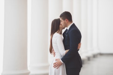 Güzel çift, gelin ve damat büyük beyaz sütun poz