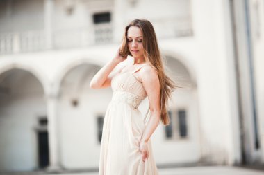 Güzel kız modeli sütunları yakınındaki eski kale poz uzun saçlı. Krakow Vavel