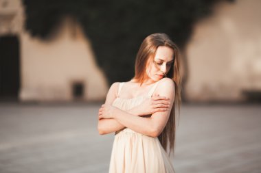 Güzel kız modeli sütunları yakınındaki eski kale poz uzun saçlı. Krakow Vavel