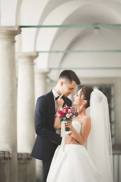 Coppia perfetta sposa, sposo posa e baci nel loro giorno del matrimonio — Foto Stock