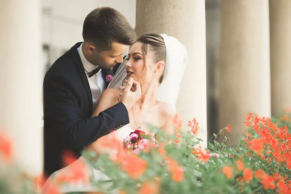 Ravissant couple de mariage heureux, mariée avec longue robe blanche posant dans la belle ville — Photo