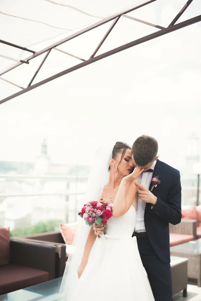 Coppia perfetta sposa, sposo posa e baci nel loro giorno del matrimonio — Foto Stock