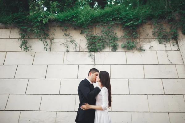 Maravillosa pareja de boda de lujo posando cerca de gran pared —  Fotos de Stock