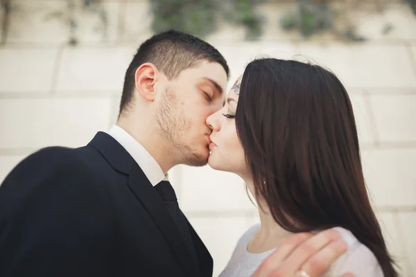 Maravillosa pareja de boda de lujo posando cerca de gran pared — Foto de Stock