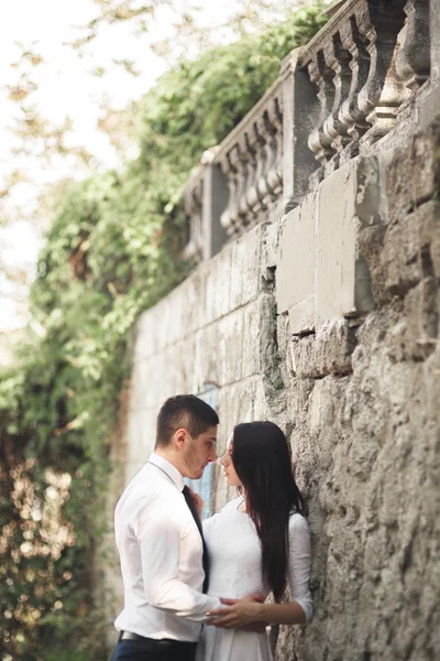 Υπέροχος newlywed θέτοντας κοντά στην όμορφη τοίχος δέντρα θάμνους φυτά στην ημέρα του γάμου τους — Φωτογραφία Αρχείου