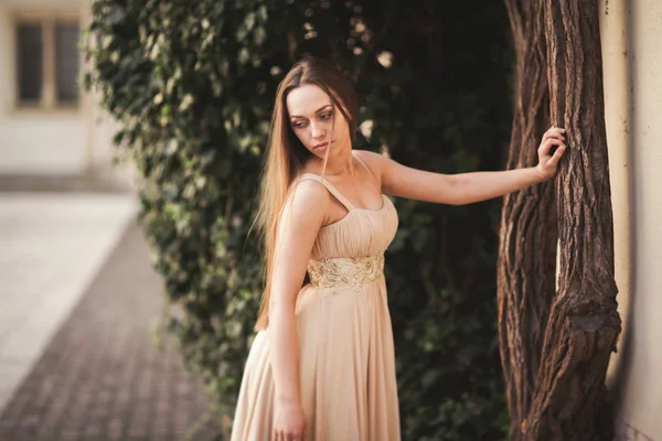 Hermosa chica con el pelo largo posando cerca del árbol en vavel Cracovia —  Fotos de Stock