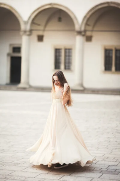 Hermosa chica, modelo con el pelo largo posando en el viejo castillo cerca de columnas. Cracovia Vavel — Foto de Stock