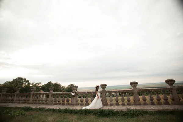 幸せな結婚式のカップルのハグ、キス背景古いお城に — ストック写真