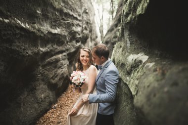 Muhteşem düğün çift öpüşme ve orman büyük kayalar ile sarılma