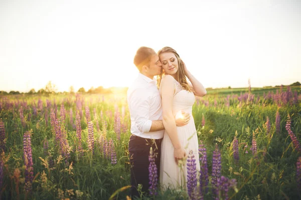 Güzel düğün çift, aşk günbatımı üzerinde. Fielf çiçekli — Stok fotoğraf