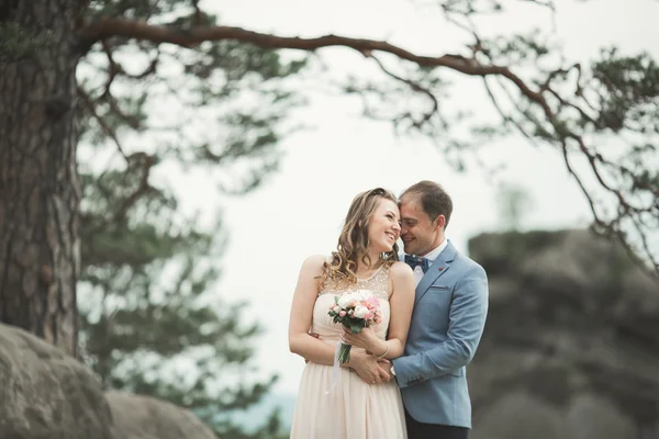 华丽的新娘，新郎亲吻和拥抱附近的悬崖美景 — 图库照片