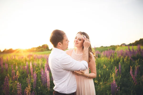 Schönes Hochzeitspaar, Liebe im Sonnenuntergang. Feld mit Blumen — Stockfoto