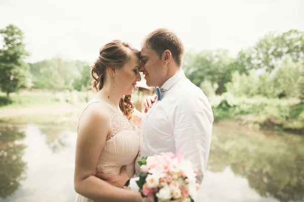 Esküvői pár átölelve és megcsókolta a hídnál — Stock Fotó