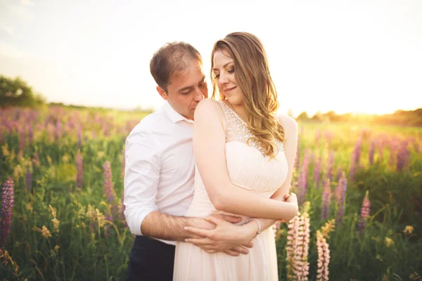 Hermosa pareja, novia, novio besándose y abrazándose en el campo puesta de sol —  Fotos de Stock
