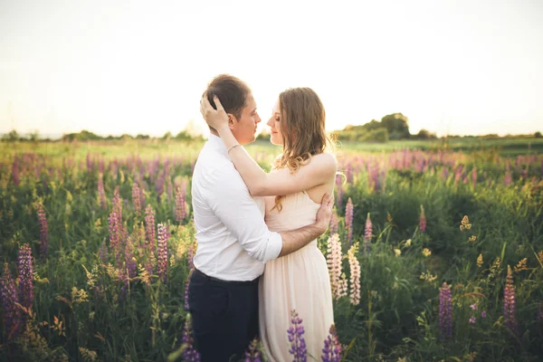 Beautiful couple, bride, groom kissing and hugging in the field sunset — Stock Photo, Image