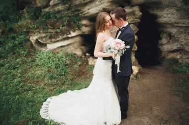 Mutlu düğün kaç sarılma ve birbirlerine arka plan güzel bitkiler kale üzerinde gülümseyen