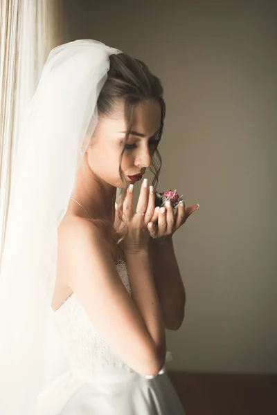 Noiva de luxo na manhã do dia do casamento — Fotografia de Stock