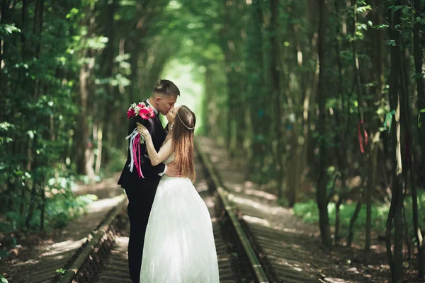 Romantikus newlywed pár csók a fa erdei fenyő — Stock Fotó