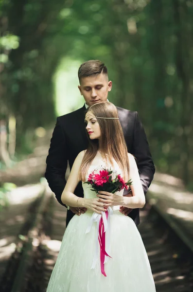 Romantica coppia di sposi che si bacia nella foresta di pini — Foto Stock