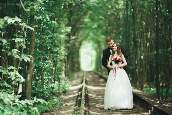 Romantic newlywed couple kissing in pine tree forest — Stock Photo, Image