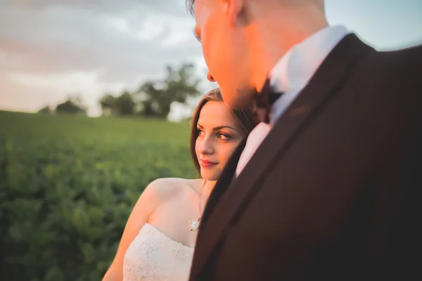 Groom is holding and kissing his bride on the background sunset — Stock Photo, Image