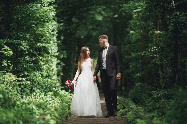 Romantische jonggehuwde paar zoenen in dennenbos — Stockfoto