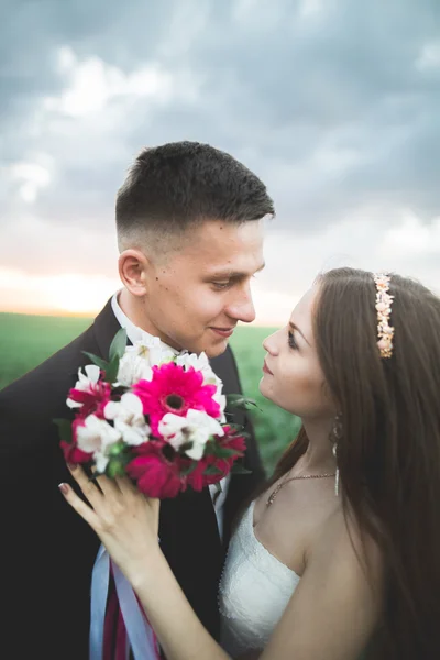 Boda, hermosa novia romántica y novio besándose abrazándose al atardecer — Foto de Stock