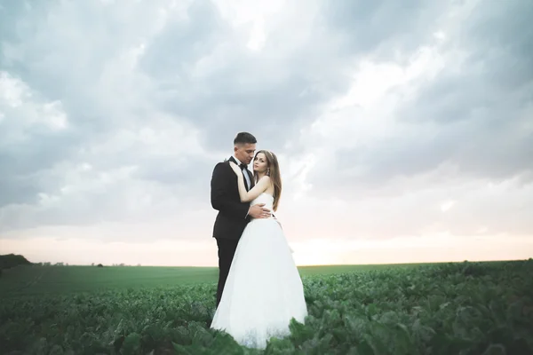 Groom está segurando e beijando sua noiva no pôr do sol de fundo — Fotografia de Stock