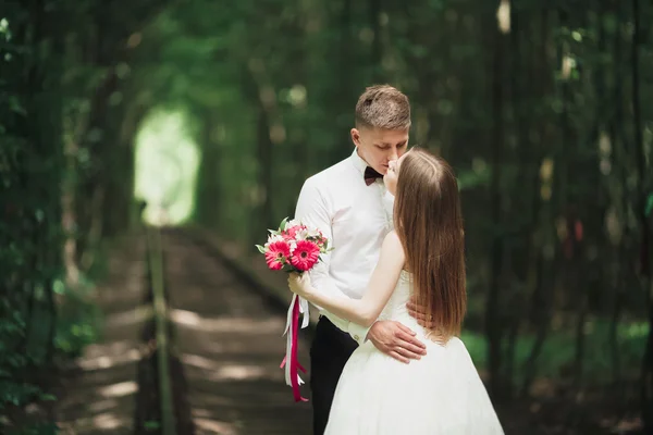 Romantikus newlywed pár csók a fa erdei fenyő — Stock Fotó