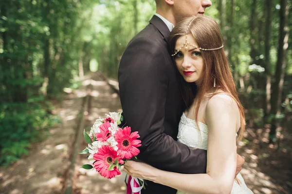 Romántica pareja de recién casados besándose en el bosque de pinos — Foto de Stock