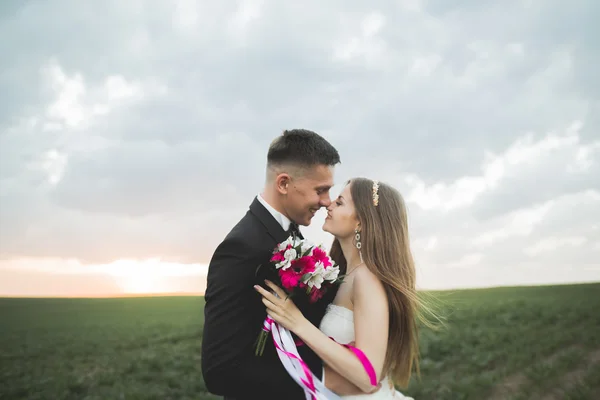 Hermosa pareja de boda, novia y novio posando en el campo durante la puesta del sol —  Fotos de Stock