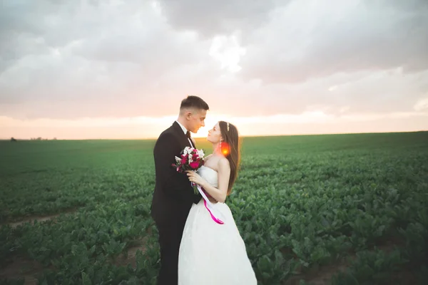 Groom está segurando e beijando sua noiva no pôr do sol de fundo — Fotografia de Stock