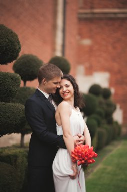 Mutlu düğün kaç sarılma ve dekoratif çalılar ile parkta gülümseyen