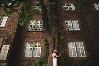 Zarif güzel düğün çift, gelin ve damat çalılar duvarına yakın park poz