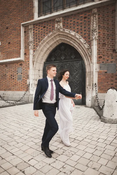 Prachtvolles Hochzeitspaar, Braut, Bräutigam posiert in der Nähe des alten Torgebäudes — Stockfoto
