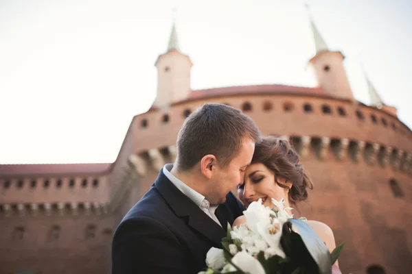 Glückliches Hochzeitspaar, Bräutigam, Braut mit rosa Kleid, einander umarmend und lächelnd auf den Hintergrundwänden im Schloss — Stockfoto