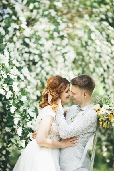 Joyeux couple de mariage marchant dans un parc botanique — Photo