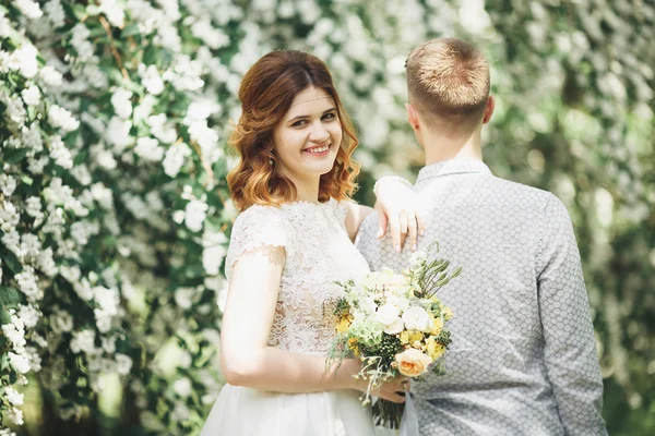 Glückliches Hochzeitspaar beim Spaziergang in einem botanischen Park — Stockfoto