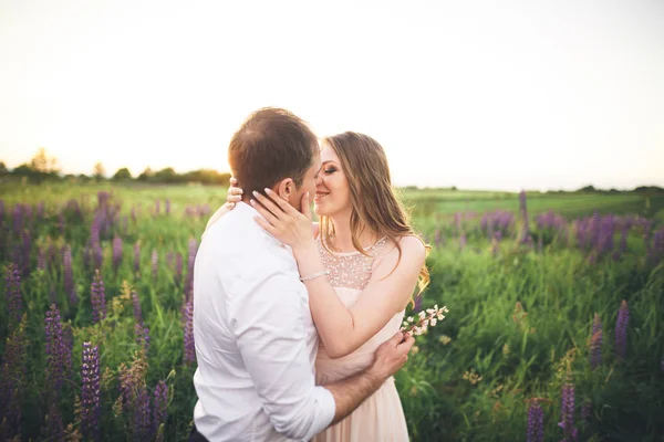 Hermosa pareja, novia, novio besándose y abrazándose en el campo puesta de sol —  Fotos de Stock