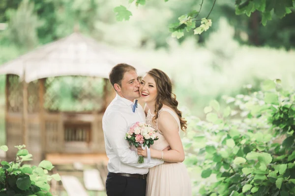 Lovely couple in love kissing each other on the day wedding, standing in the park outdoors near lake — Stock Photo, Image