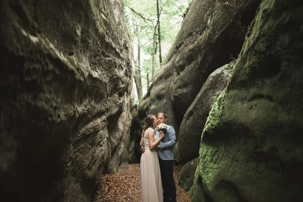 Splendido matrimonio coppia baci e abbracci nella foresta con grandi rocce — Foto Stock