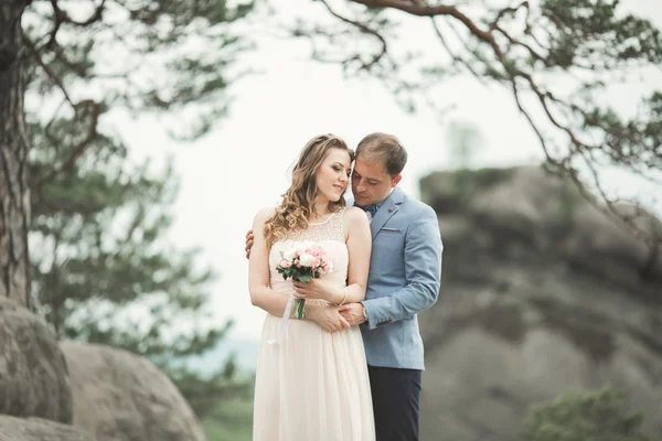 Preciosa novia, novio besándose y abrazándose cerca de los acantilados con impresionantes vistas —  Fotos de Stock