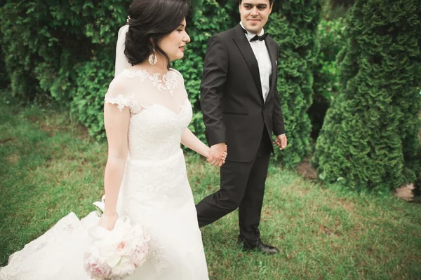 Romántico, cuento de hadas, feliz pareja recién casada abrazándose y besándose en un parque, árboles en el fondo —  Fotos de Stock